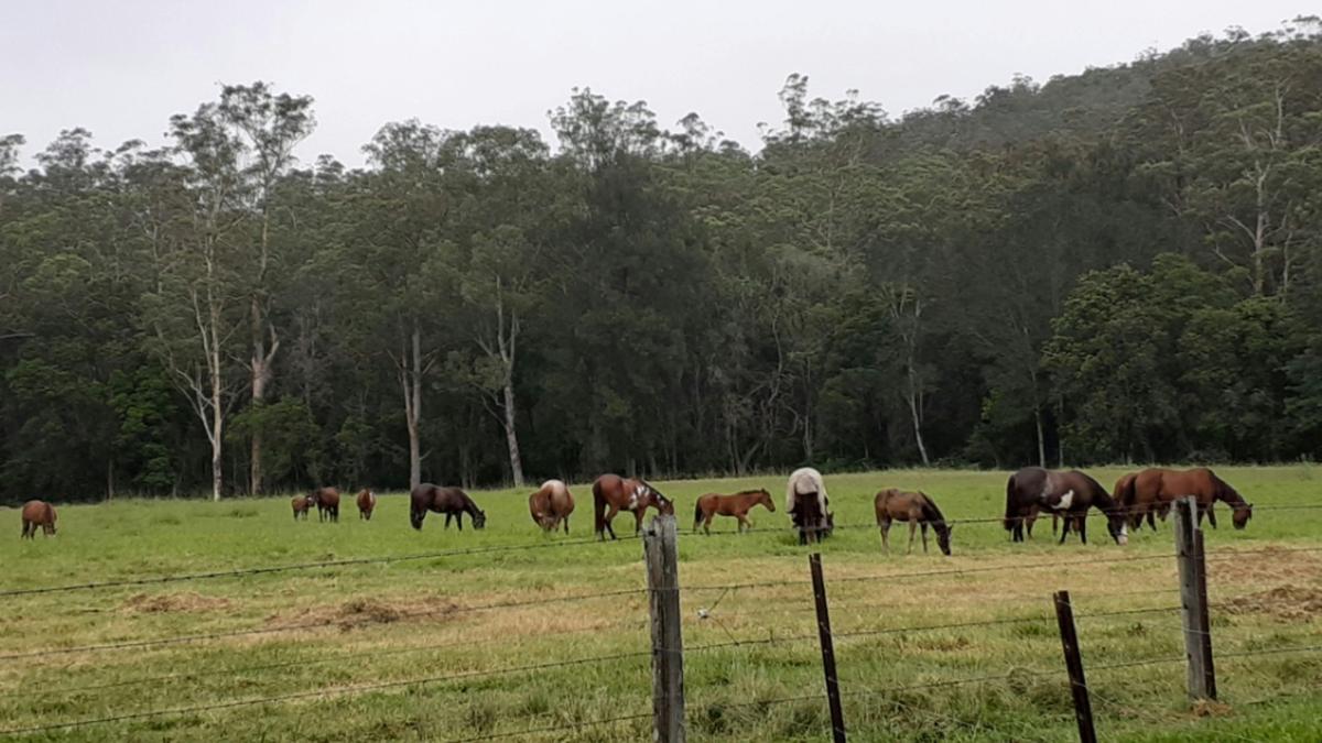 Circle K Ranch - Rollands Plains