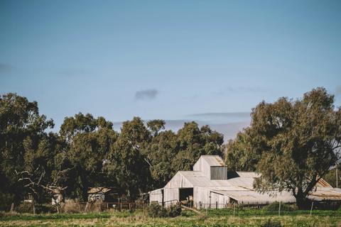 The Woolshed Front