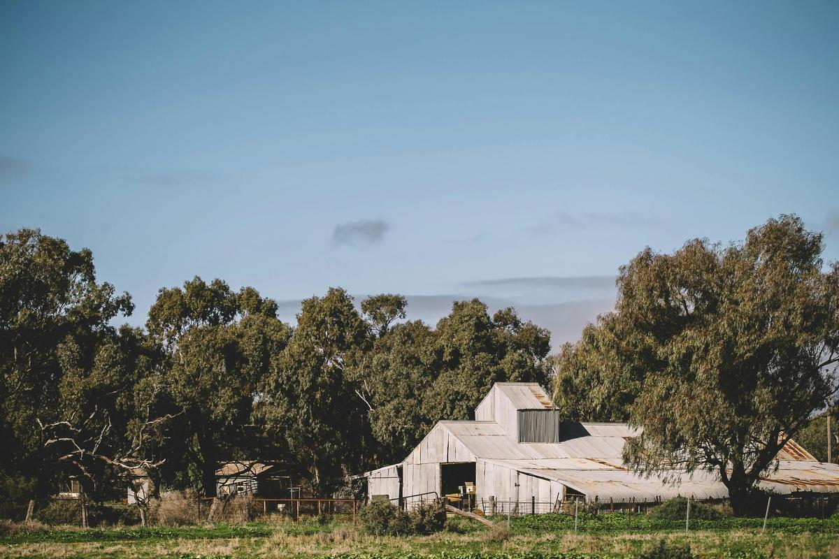The Woolshed Front