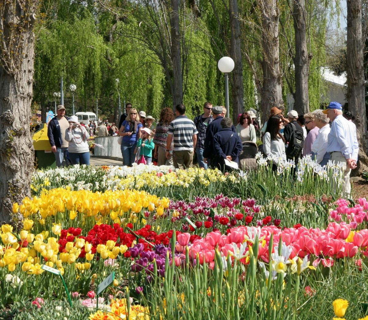 Floriade Sept to Oct