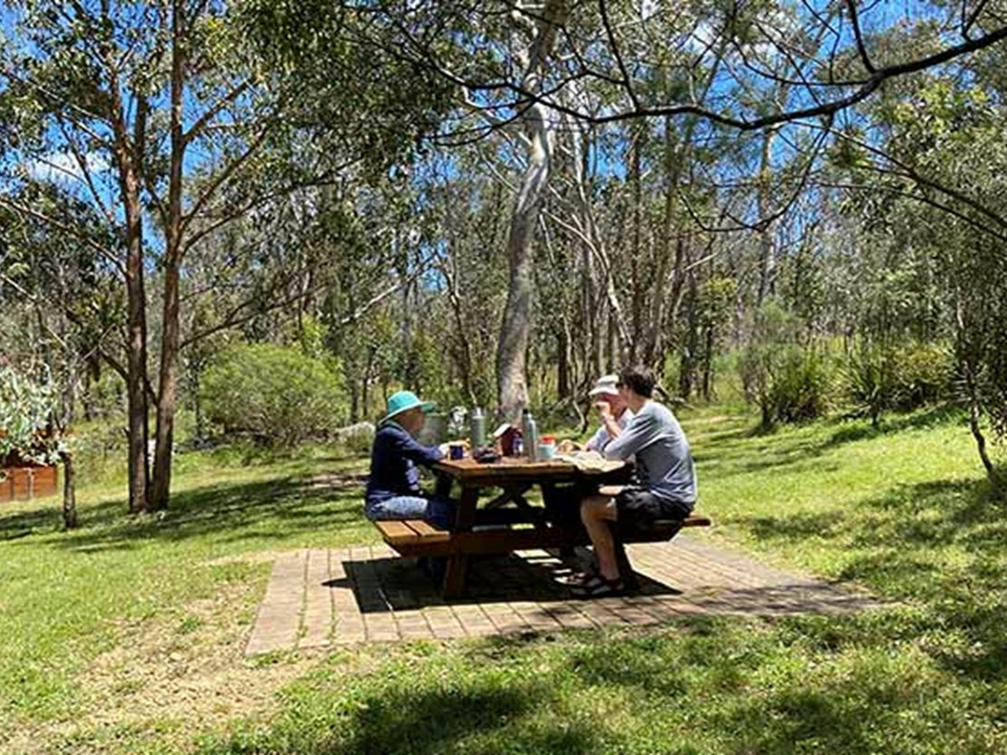 Picnic table at Dangars Falls picnic area in Oxley Wild Rivers National Park. Photo credit: Barbara