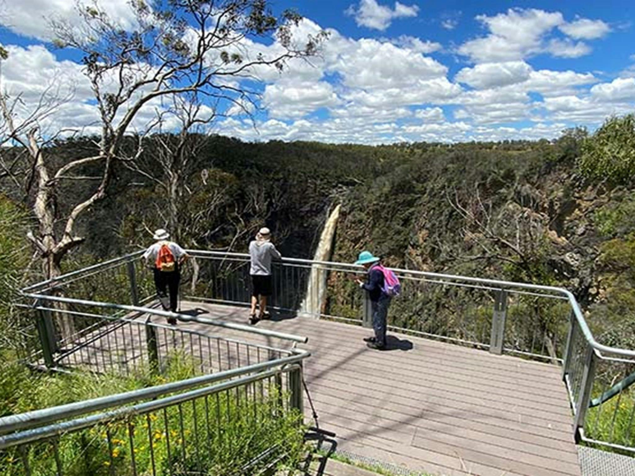Visitors looking out at Dangar Falls in Oxley Wild Rivers National Park. Photo credit: Barbara