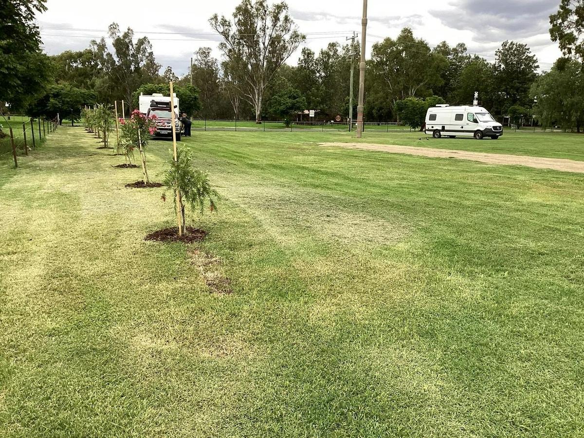 Grassed campsites