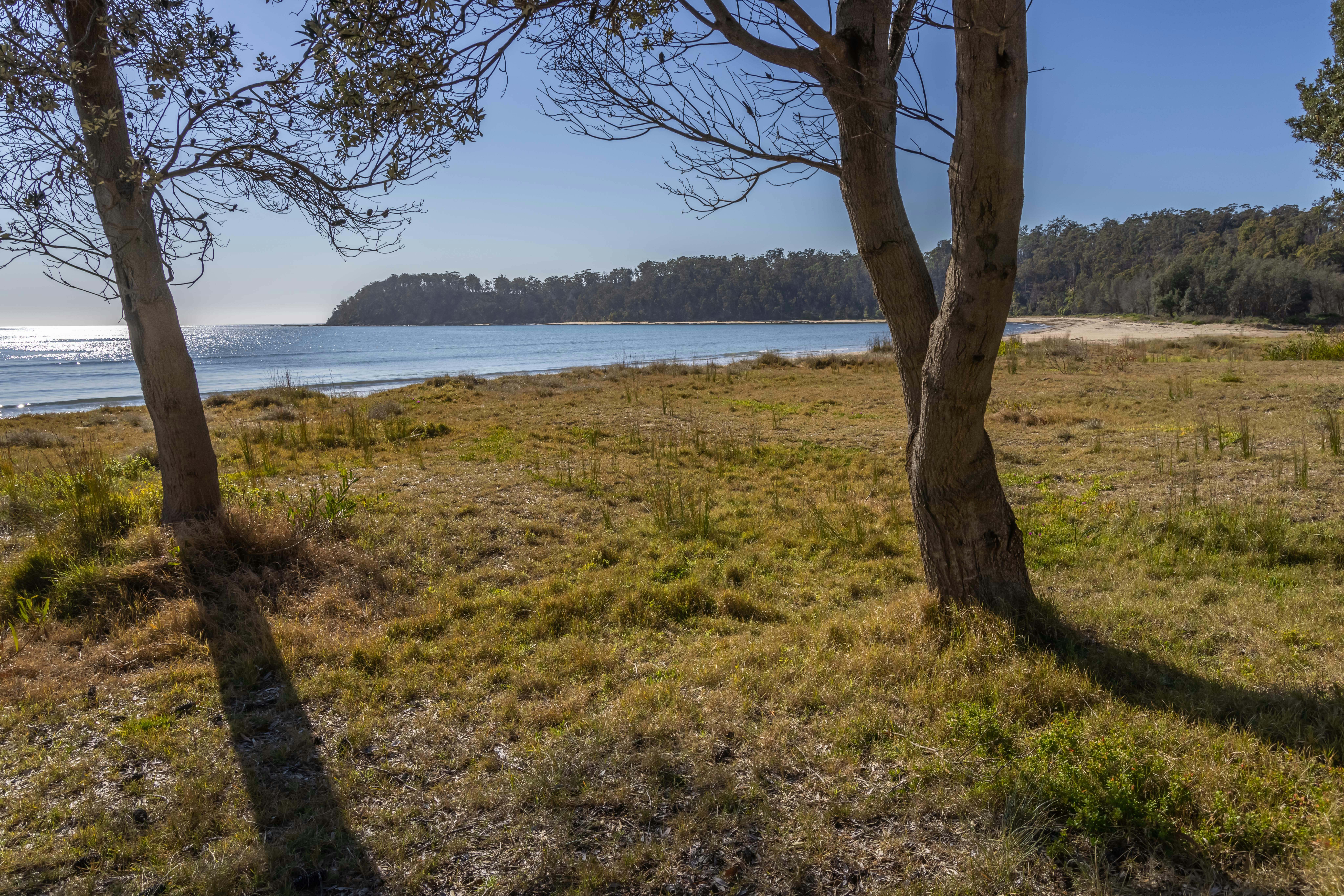 Beermuna (Boydtown Beach)