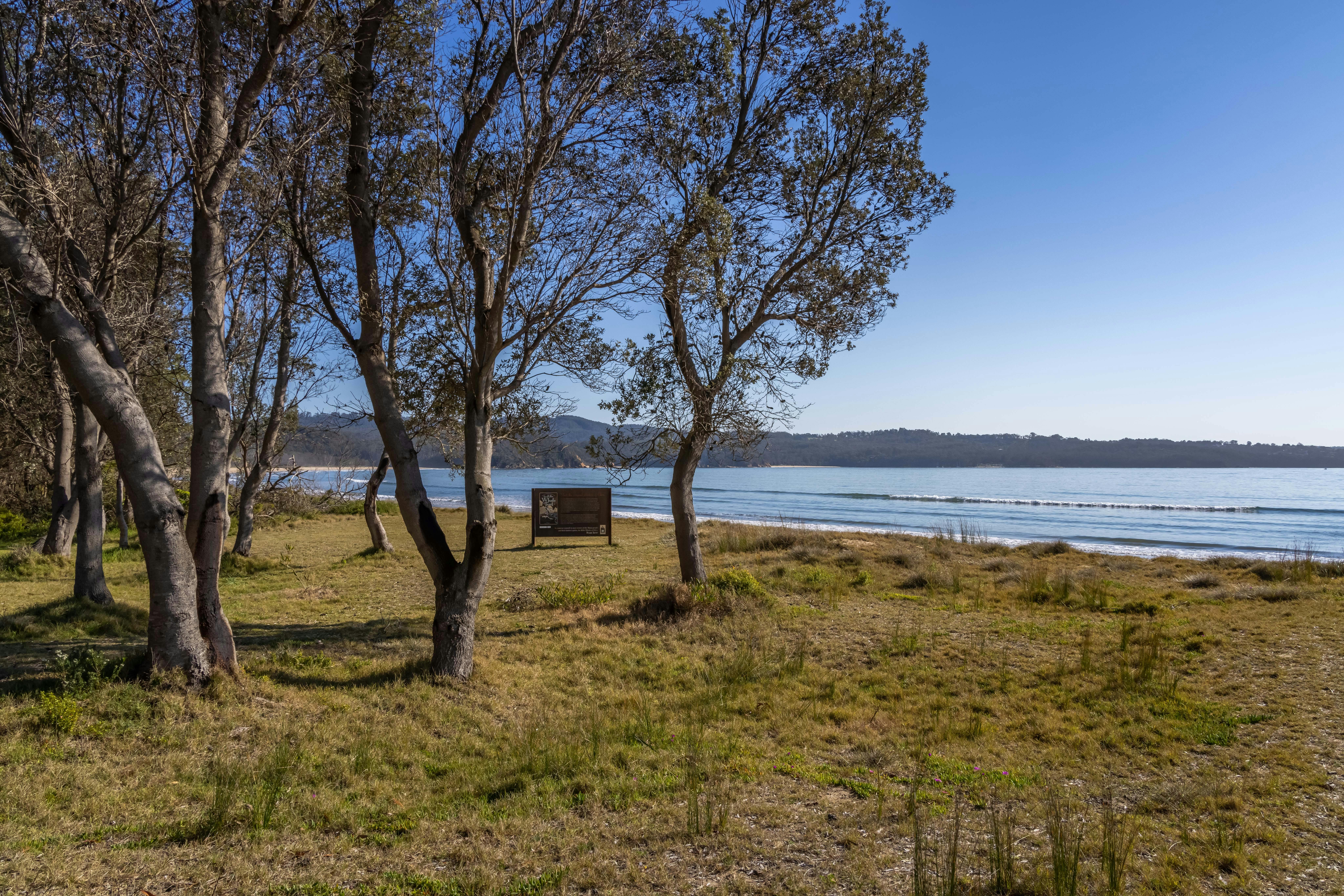 Beermuna (Boydtown Beach)