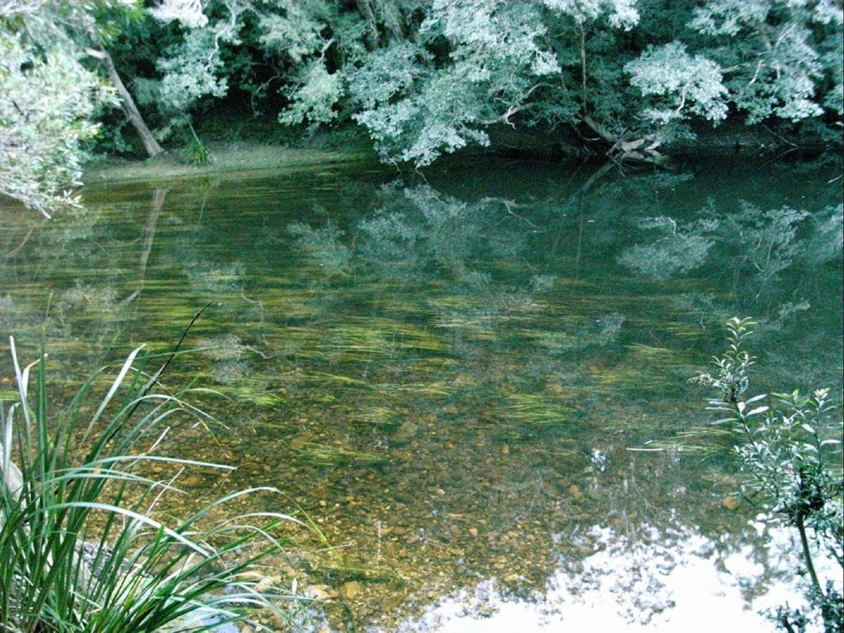 The Clyde River