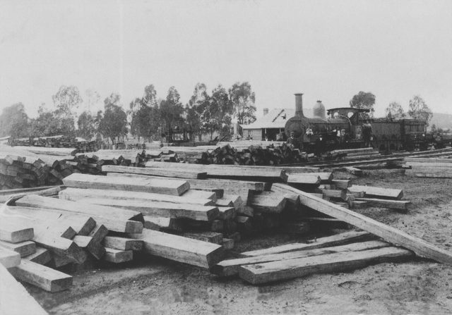 Dunedoo Museum and Railway Station