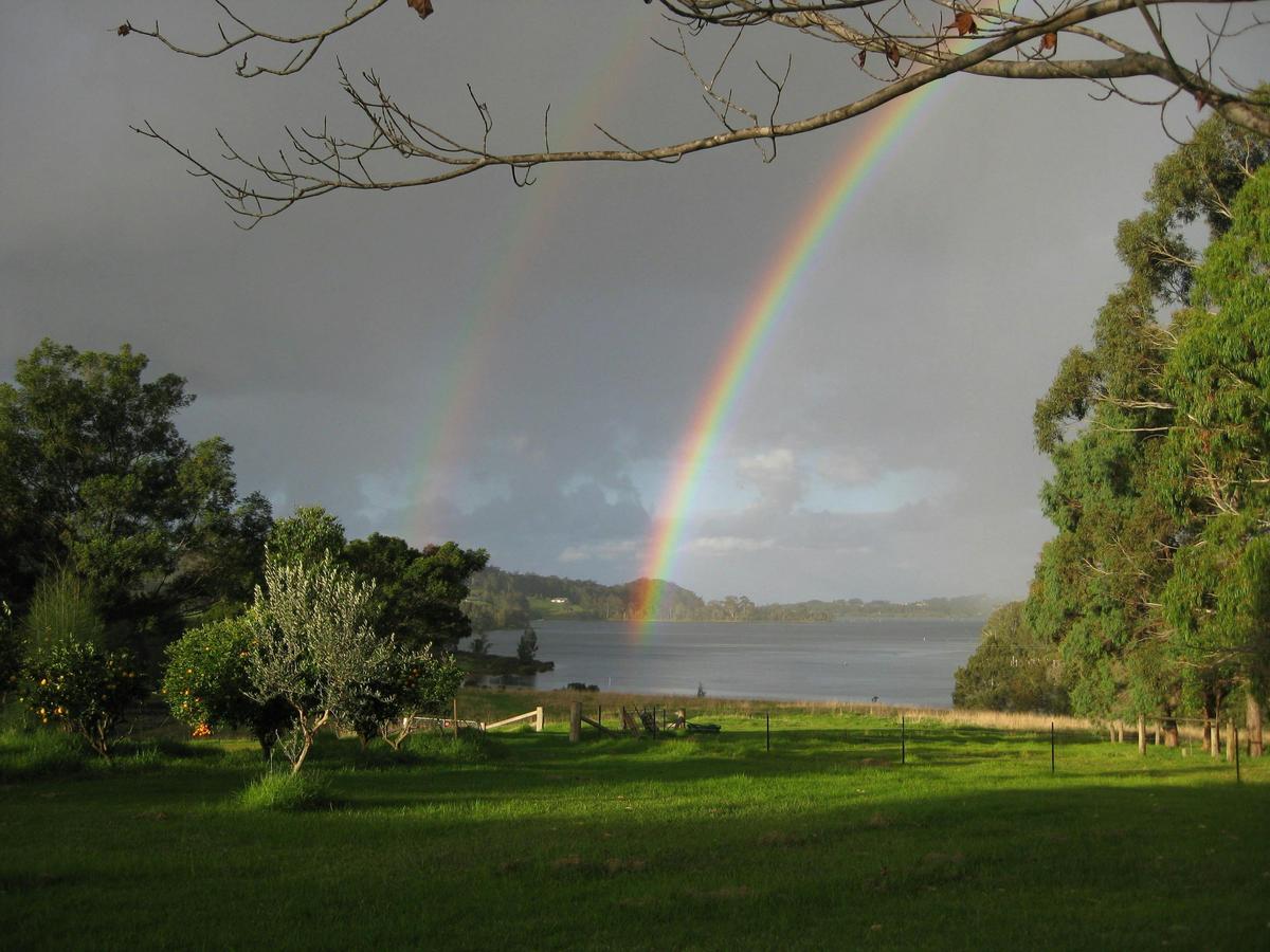 Clark Bay Cottage's View