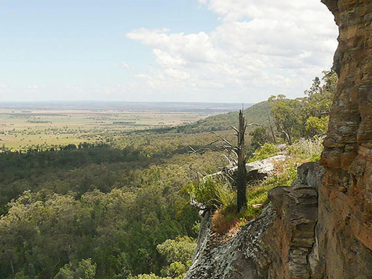 Deriah Aboriginal Area. Photo: Dirk Richards/NSW Government