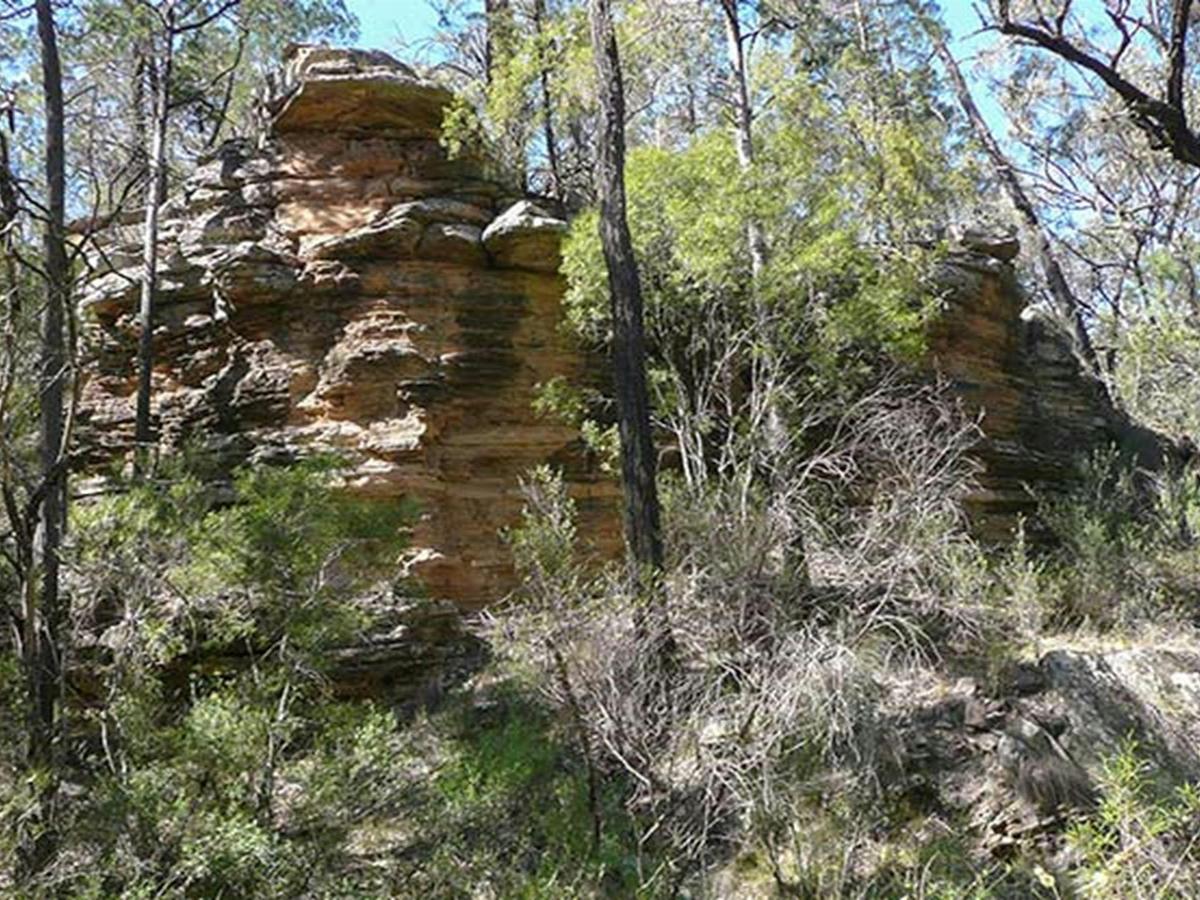 Deriah Aboriginal Area. Photo: Dirk Richards/NSW Government
