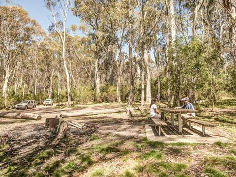 Coree campground