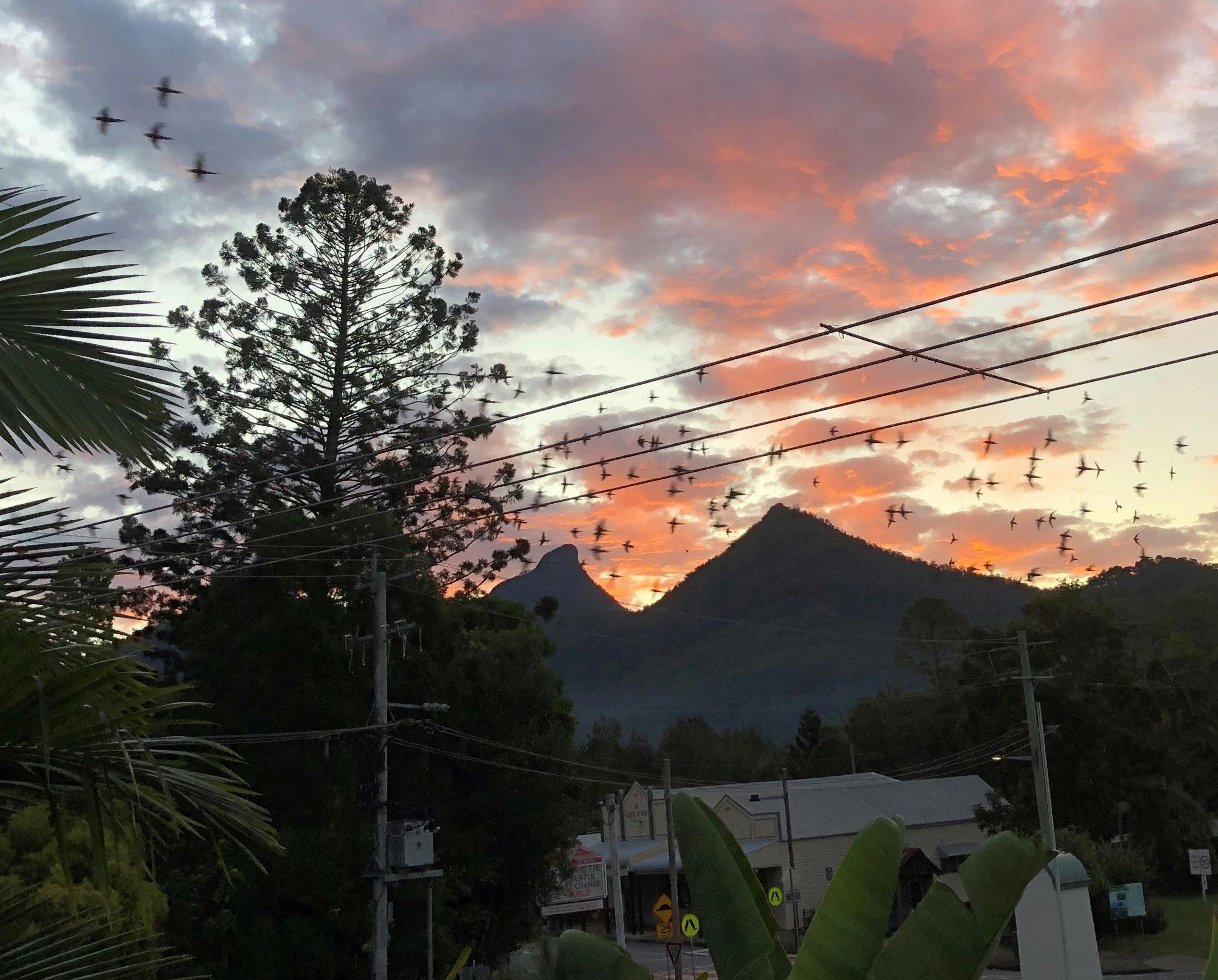 Stunning Sunsets over Mt Warning
