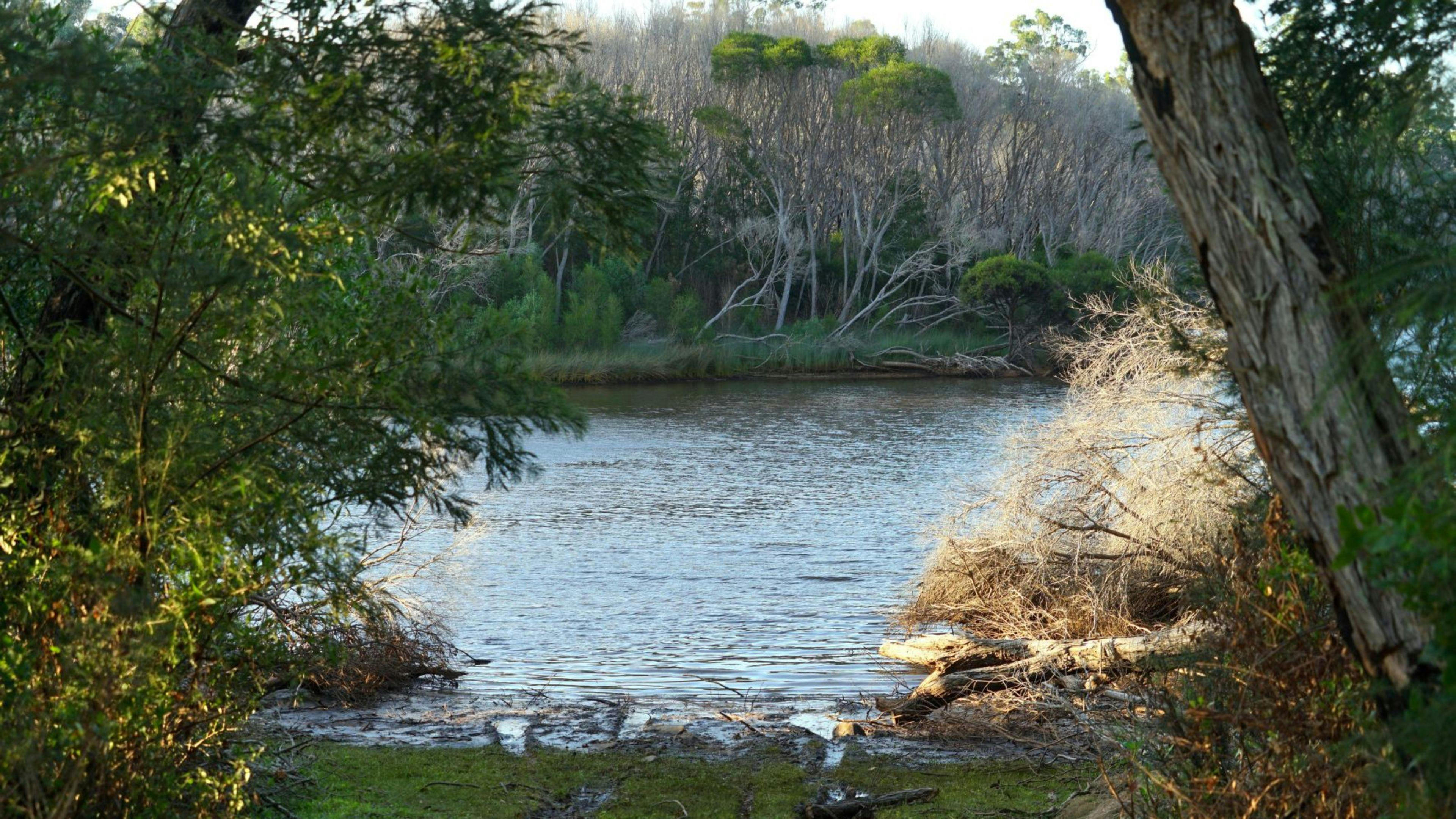A pathway to launch your kayaks or SUP boards. 