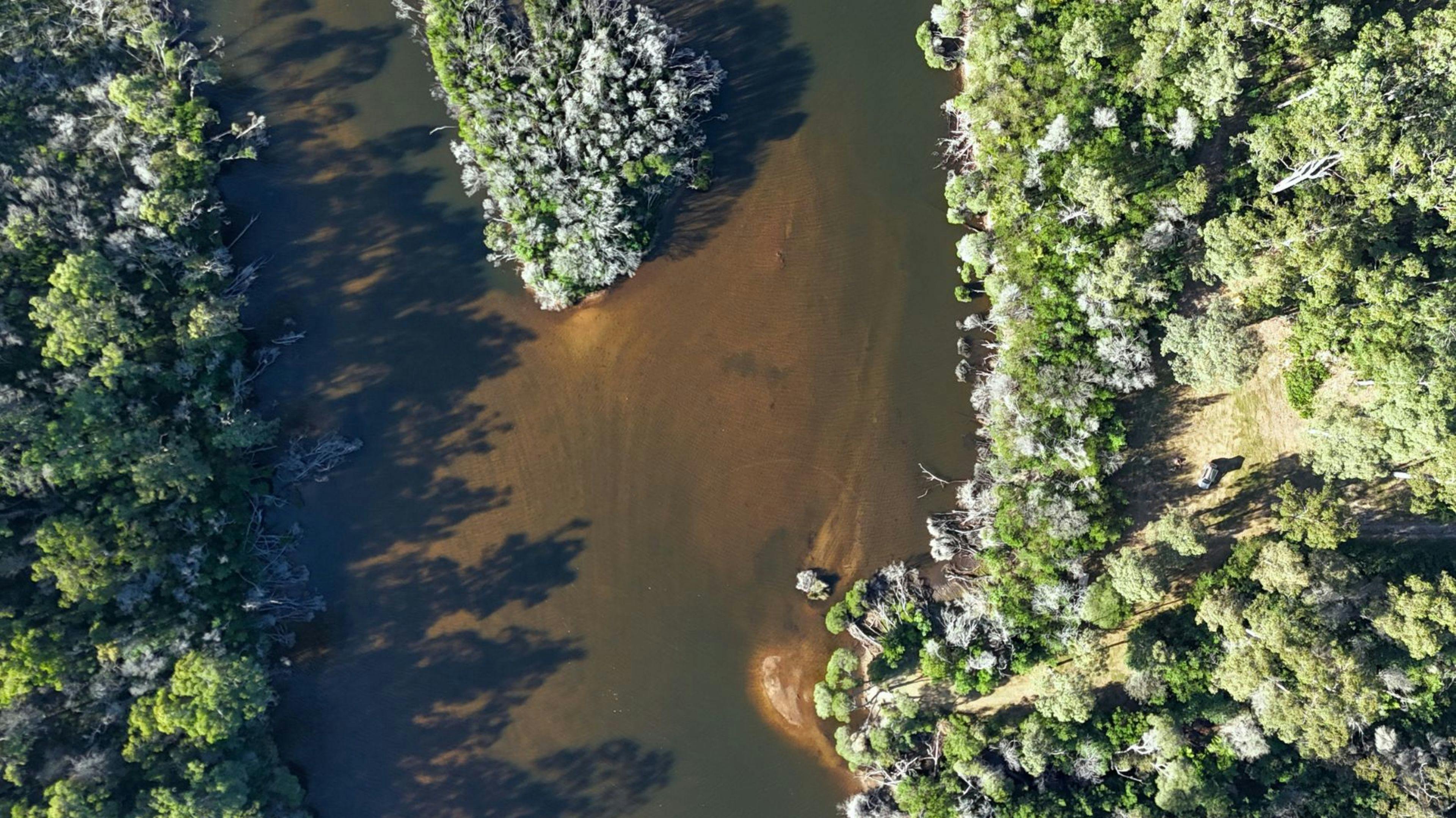 Aerial view of the river and Hipcamp property. See the grassy opening on the right with path down to the river. 