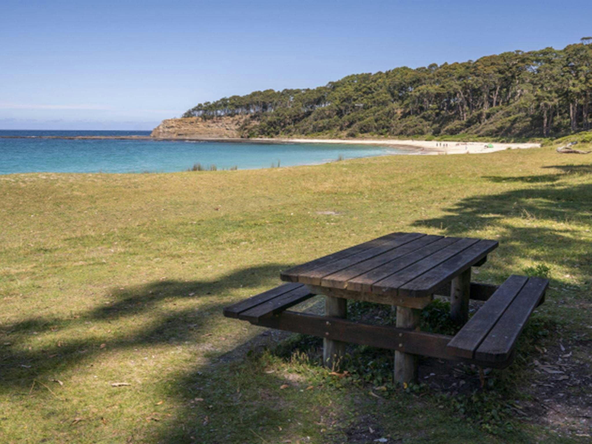 Depot Beach picnic table, Murramarang National Park. Photo: John Spencer