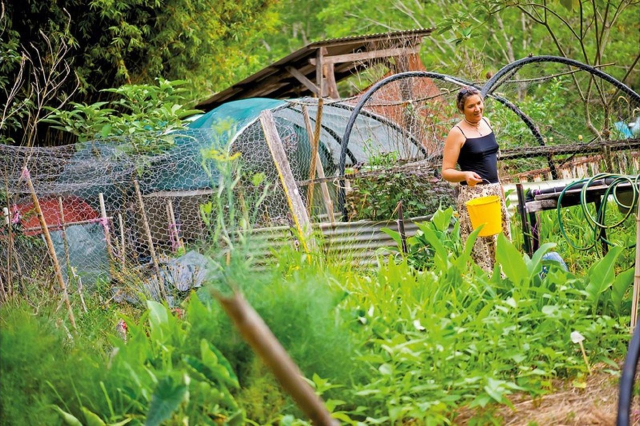 Djanbung Permaculture Gardens