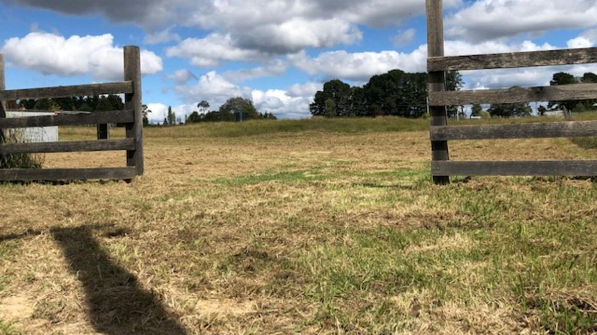 Plain paddock