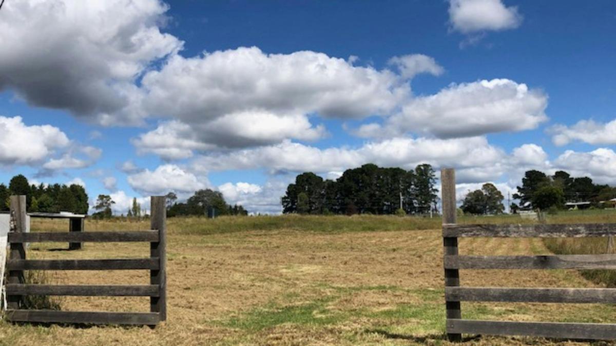 Plain paddock