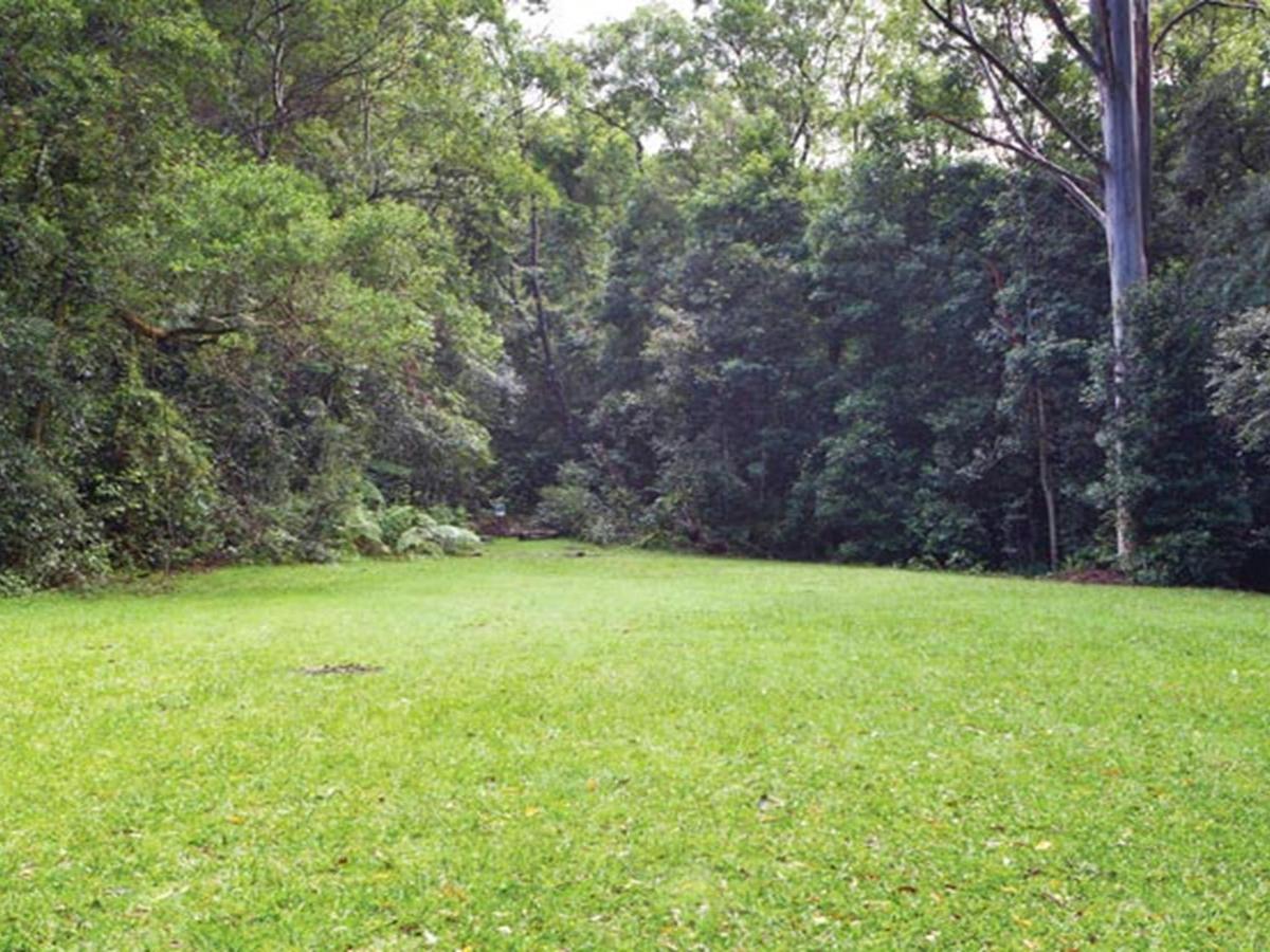 Coombadjha campground, Washpool National Park. Photo: Rob Cleary/DPIE