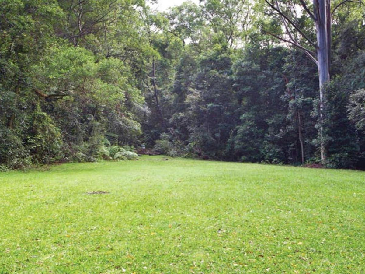 Coombadjha campground, Washpool National Park. Photo: Rob Cleary/DPIE