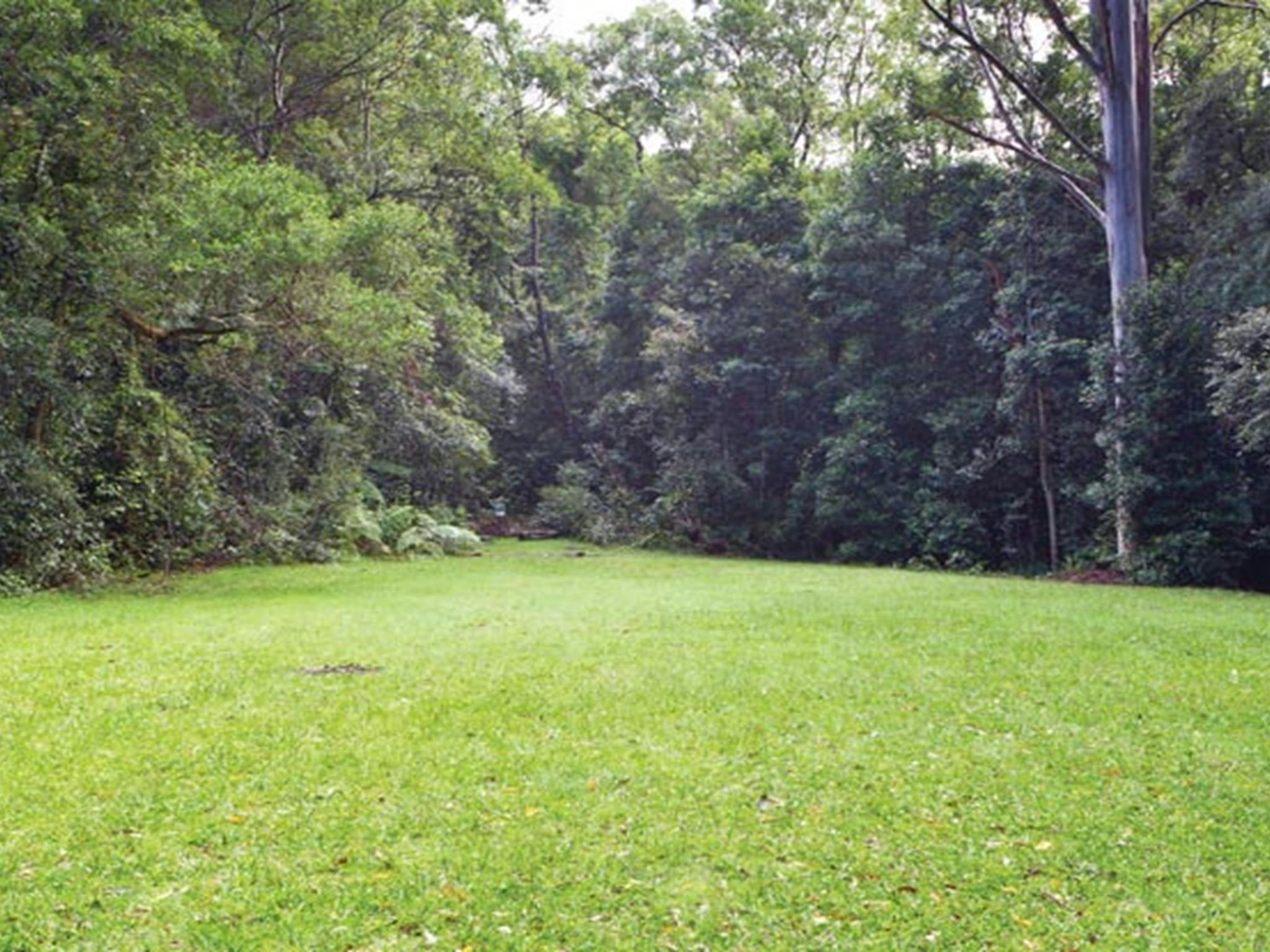 Coombadjha campground, Washpool National Park. Photo: Rob Cleary/DPIE