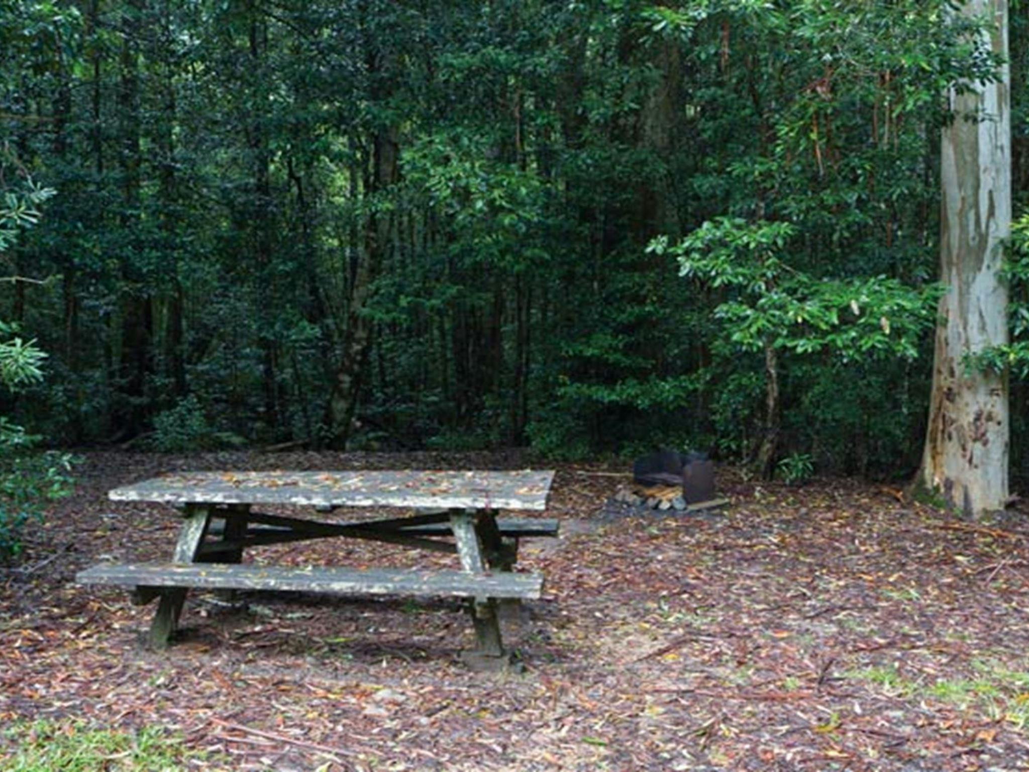 Coombadjha Campground, Washpool National Park. Photo: Rob Cleary/DPIE