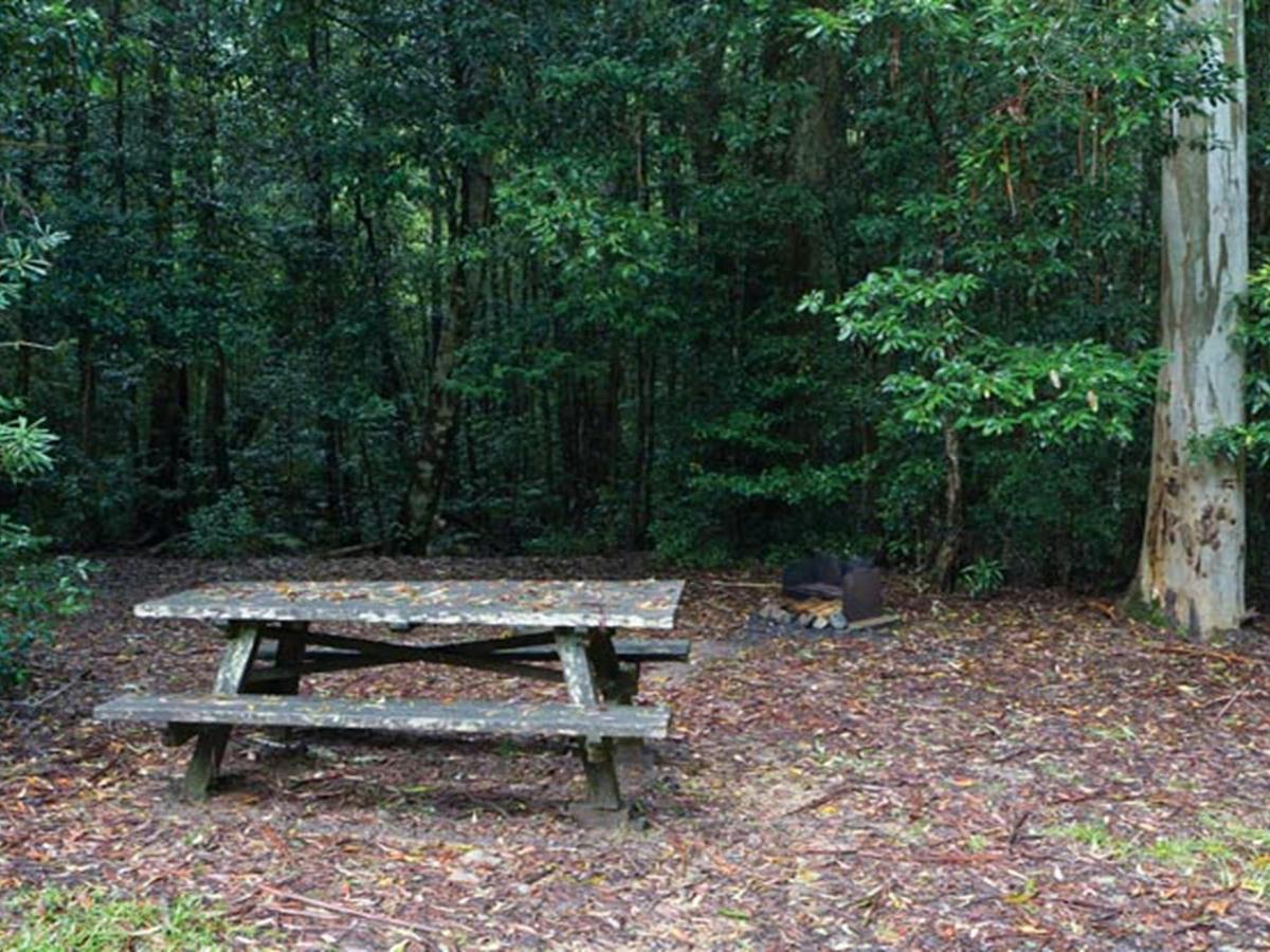 Coombadjha Campground, Washpool National Park. Photo: Rob Cleary/DPIE