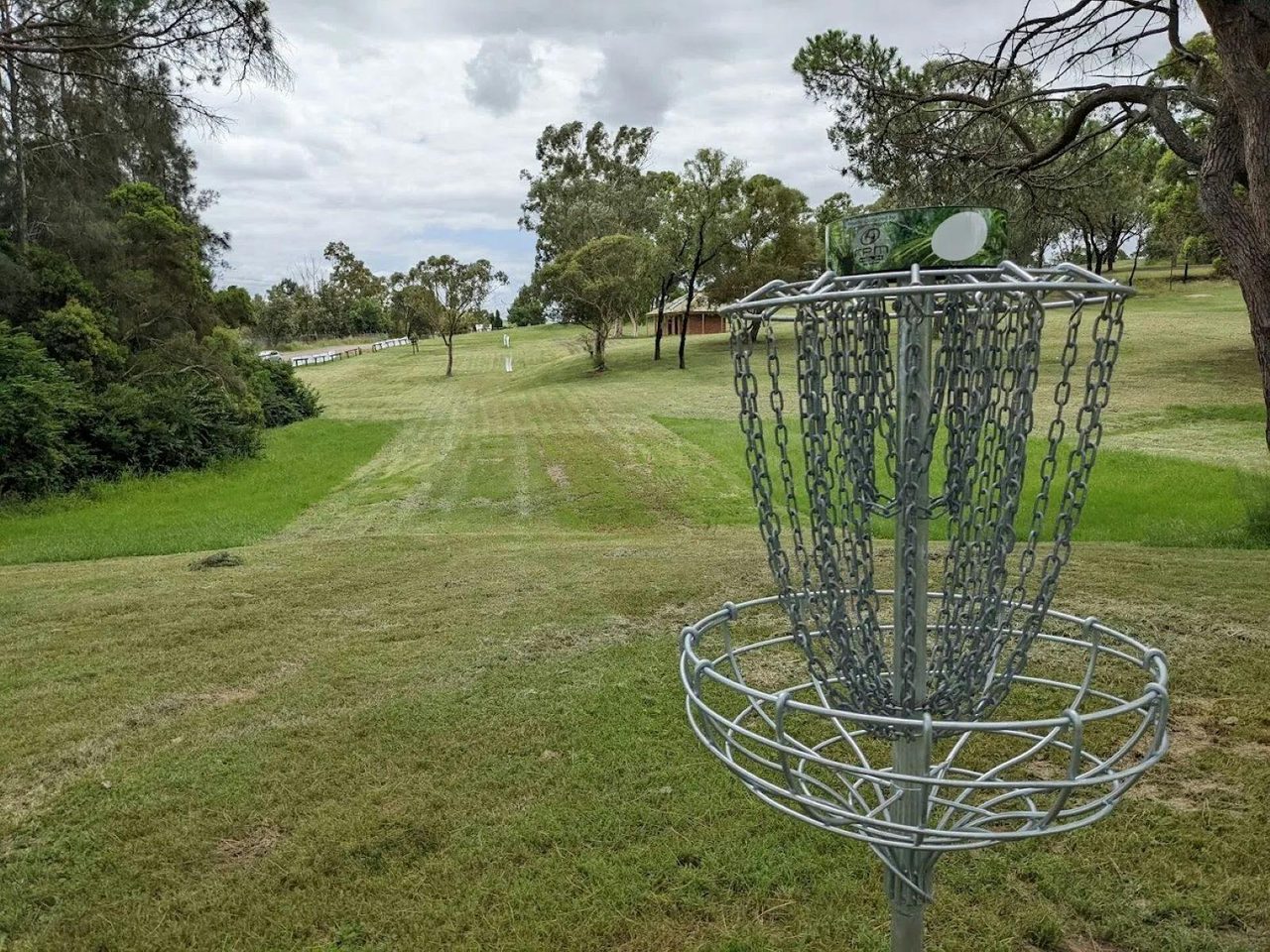 Disc Golf