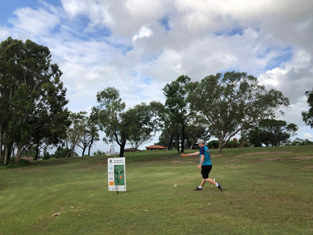 Disc Golf