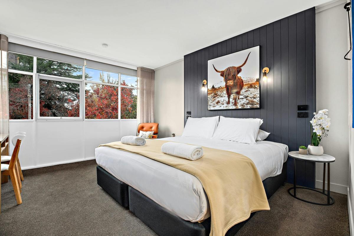 Renovated King and Twin Rooms