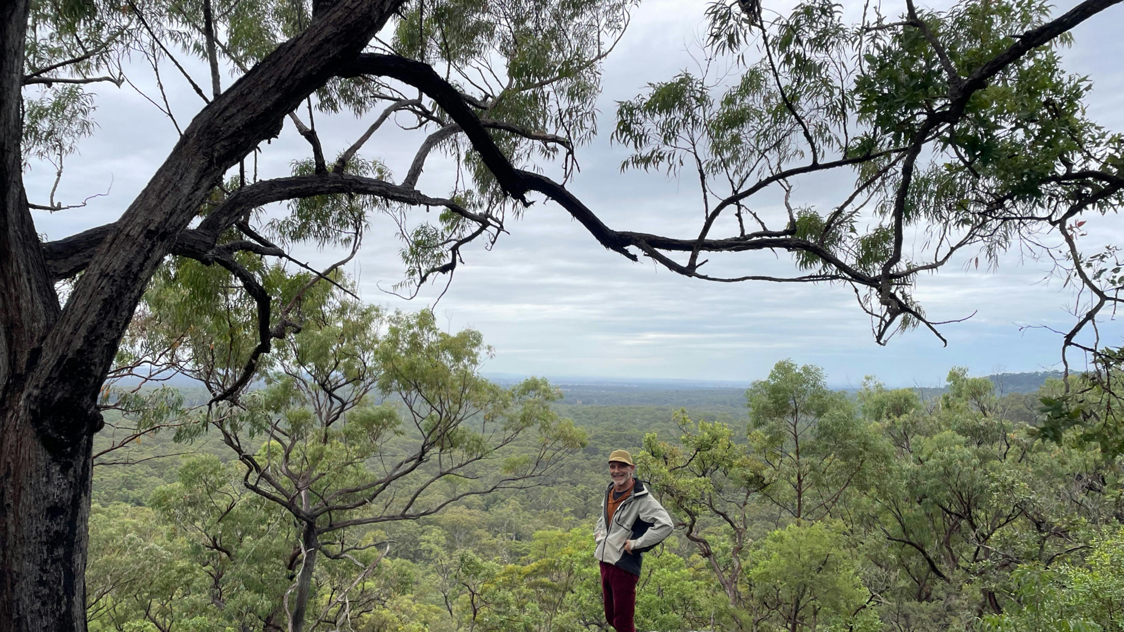 Dreamadua Forest Camp