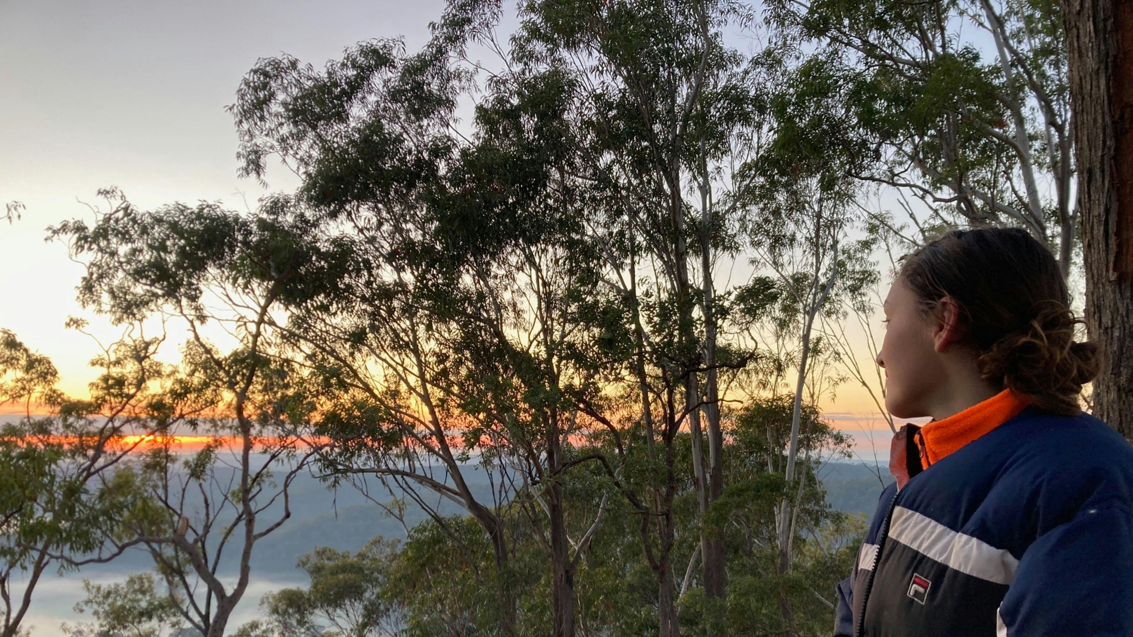 Dreamadua Forest Camp