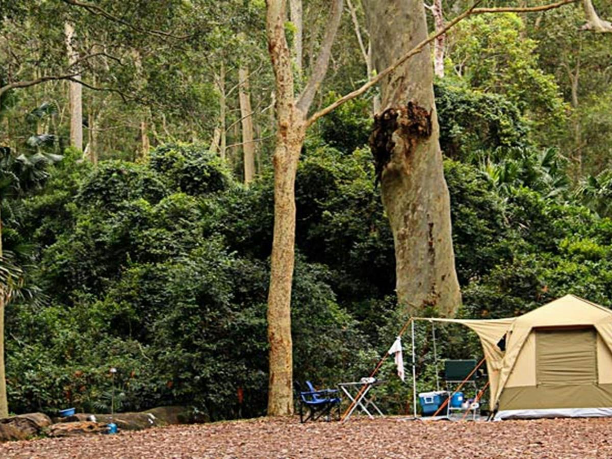 Depot Beach campground, Murramarang National Park. Photo: John Yurasek &copy; DPIE