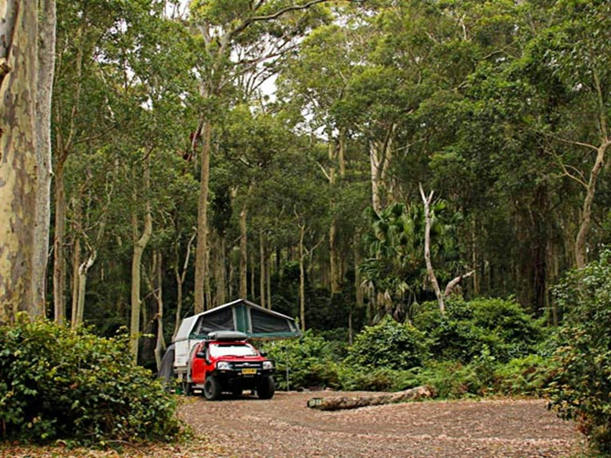 Depot Beach campground, Murramarang National Park. Photo: John Yurasek/NSW Government