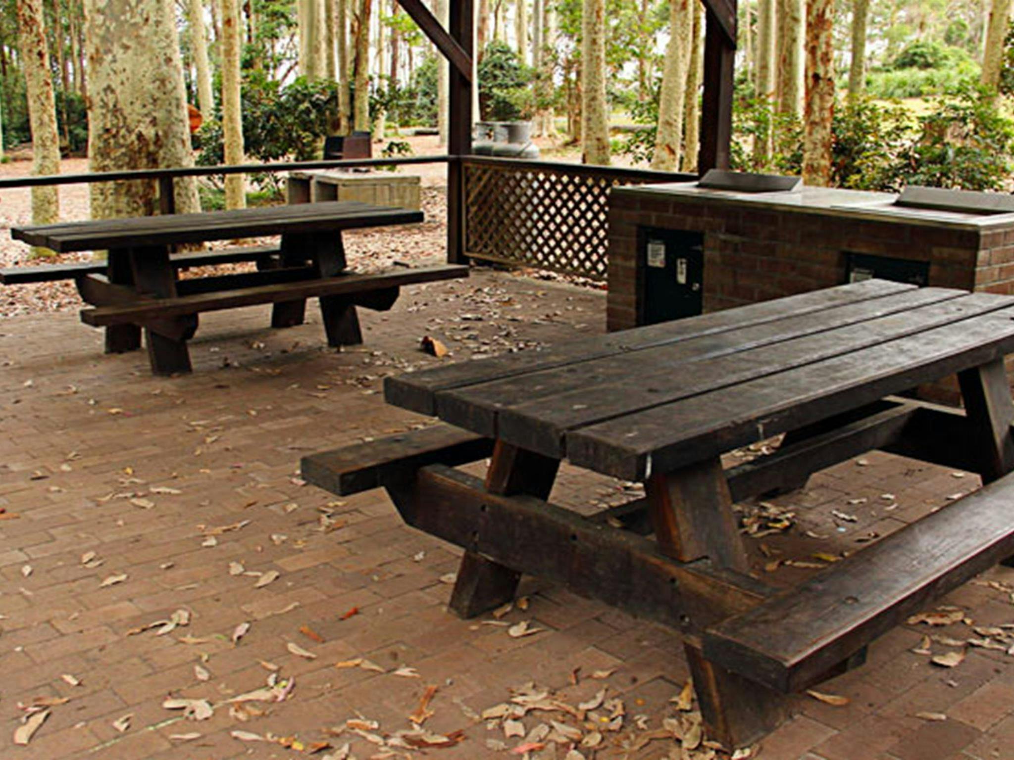 Depot Beach campground, Murramarang National Park. Photo: John Yurasek/NSW Government
