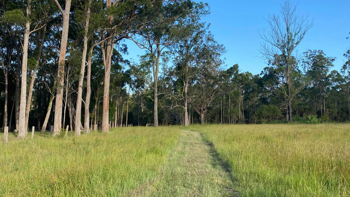 Chaffin Creek Farm