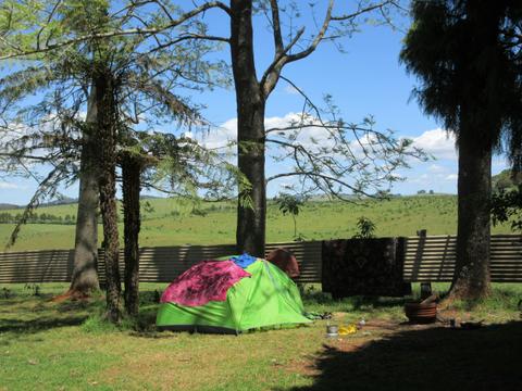Dorrigo Mountain Holiday Park
