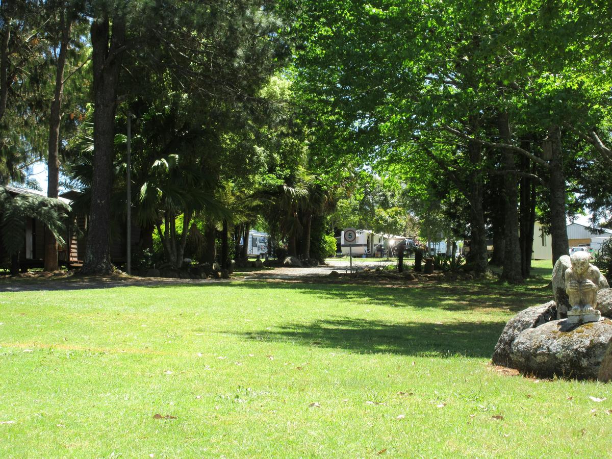 Grassy tent sites