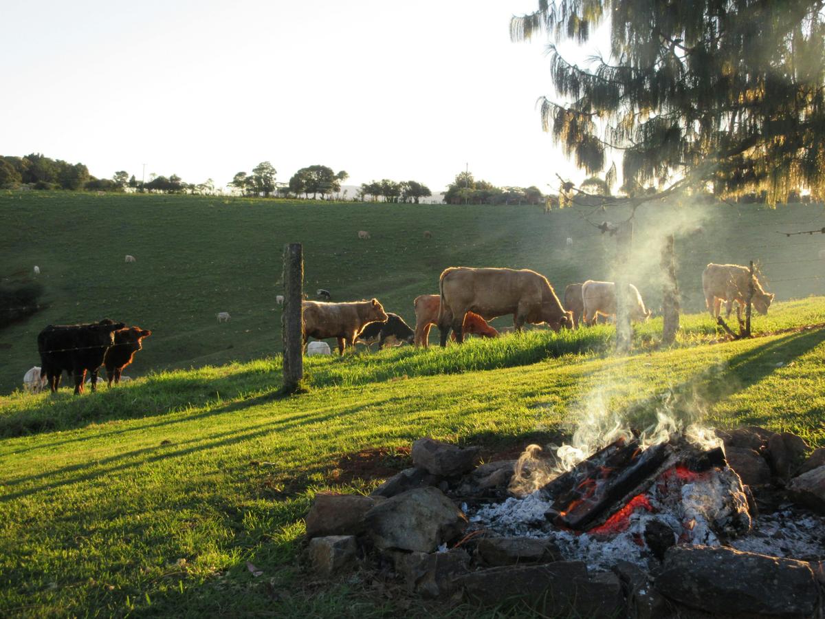 Fire pit