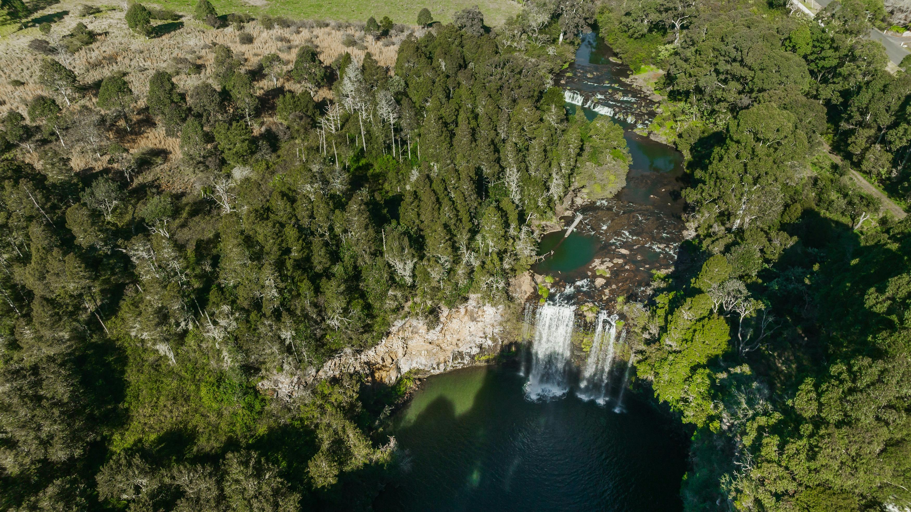 Dangar Falls