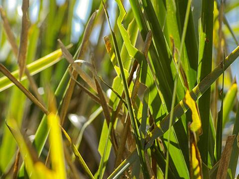De Kerrilleau picnic area
