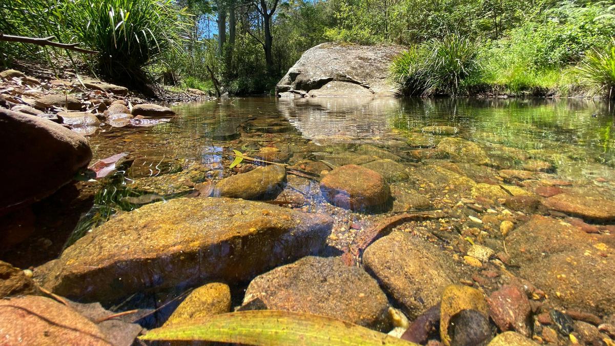 Congewai Valley Estate