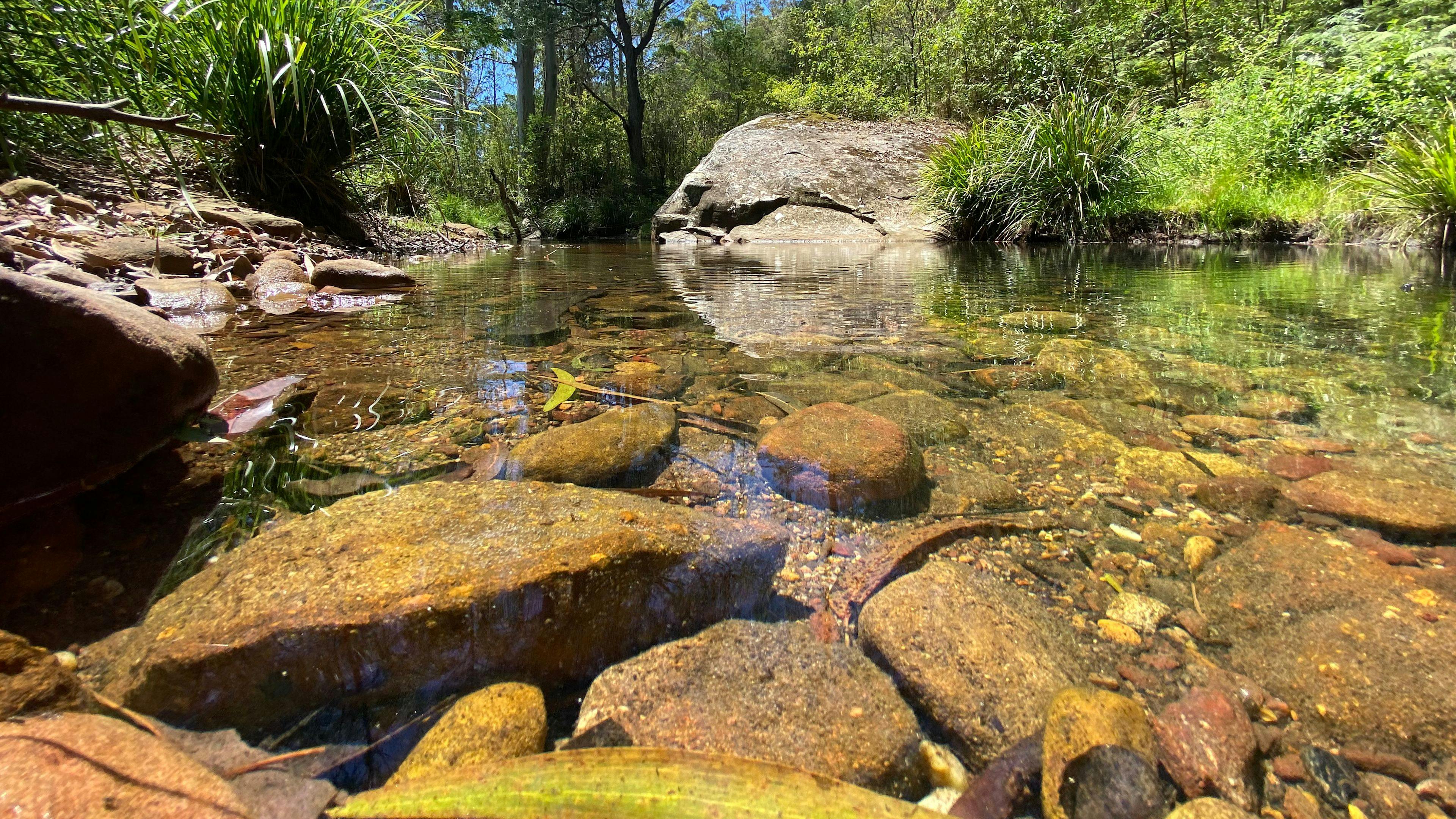 Congewai Valley Estate