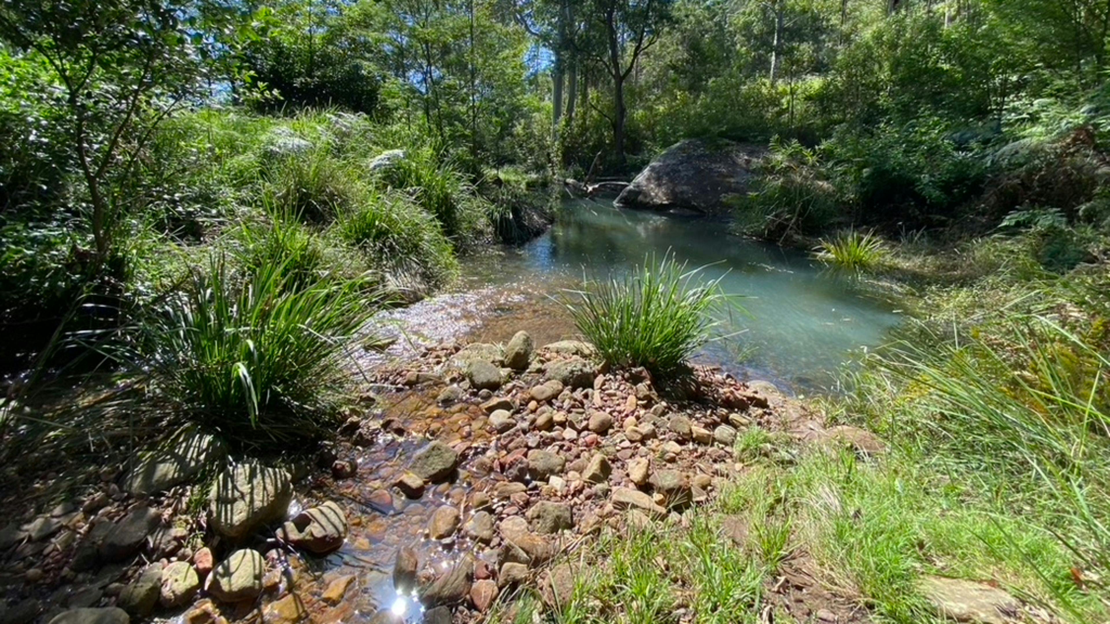 Congewai Valley Estate
