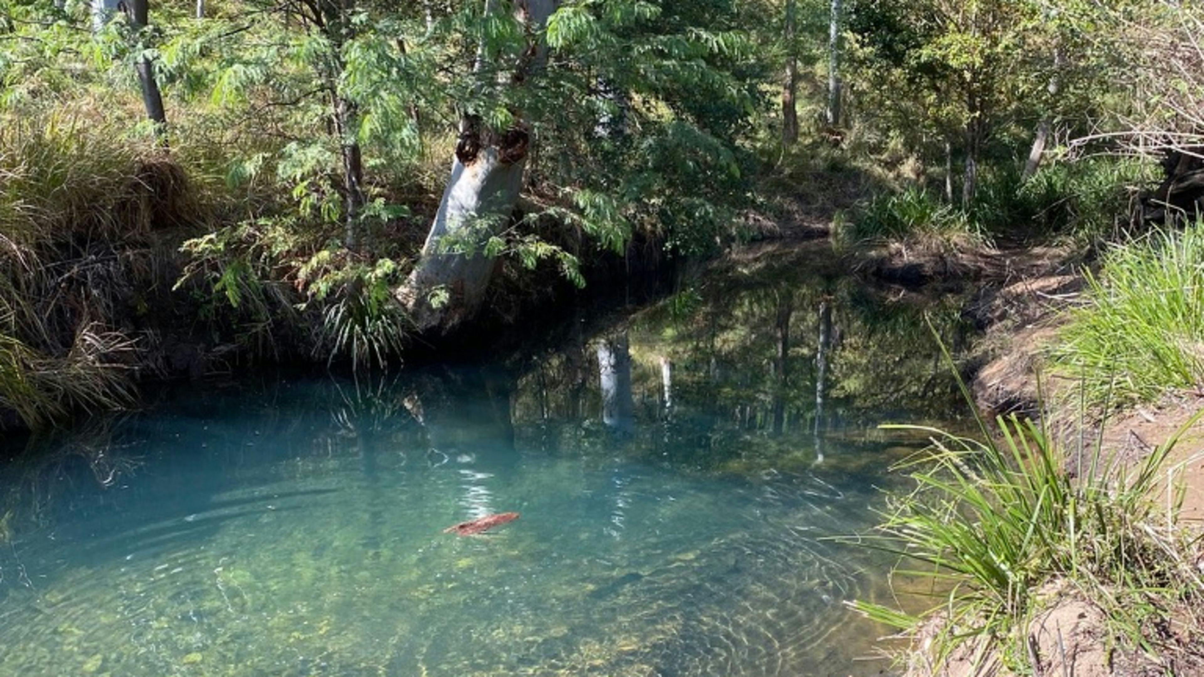 Congewai Valley Estate