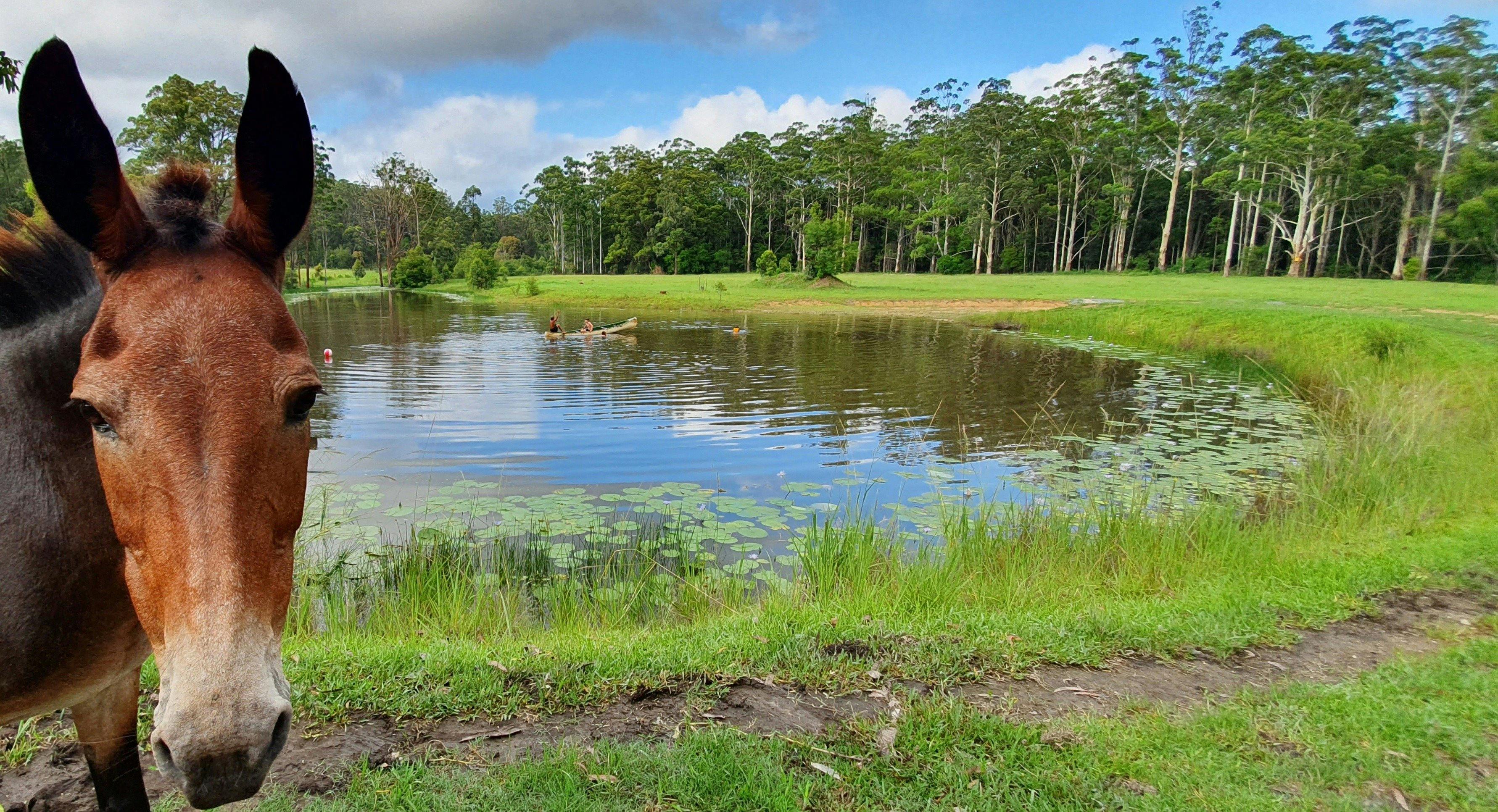 Enjoy the country ambience