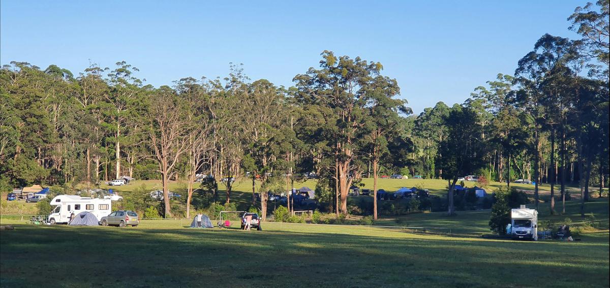 Well spaced campsites with firepits