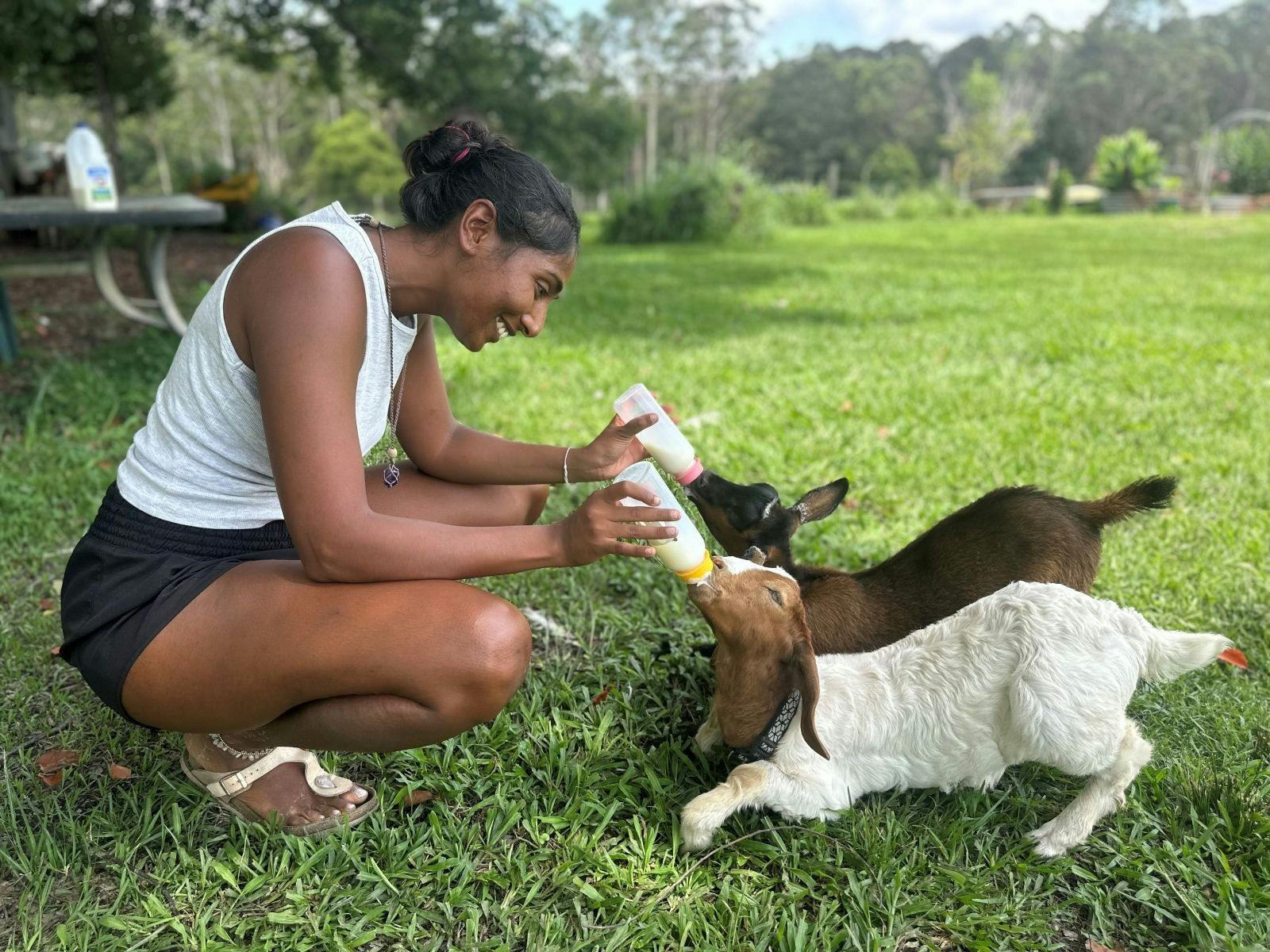 Coffs Harbour Camping