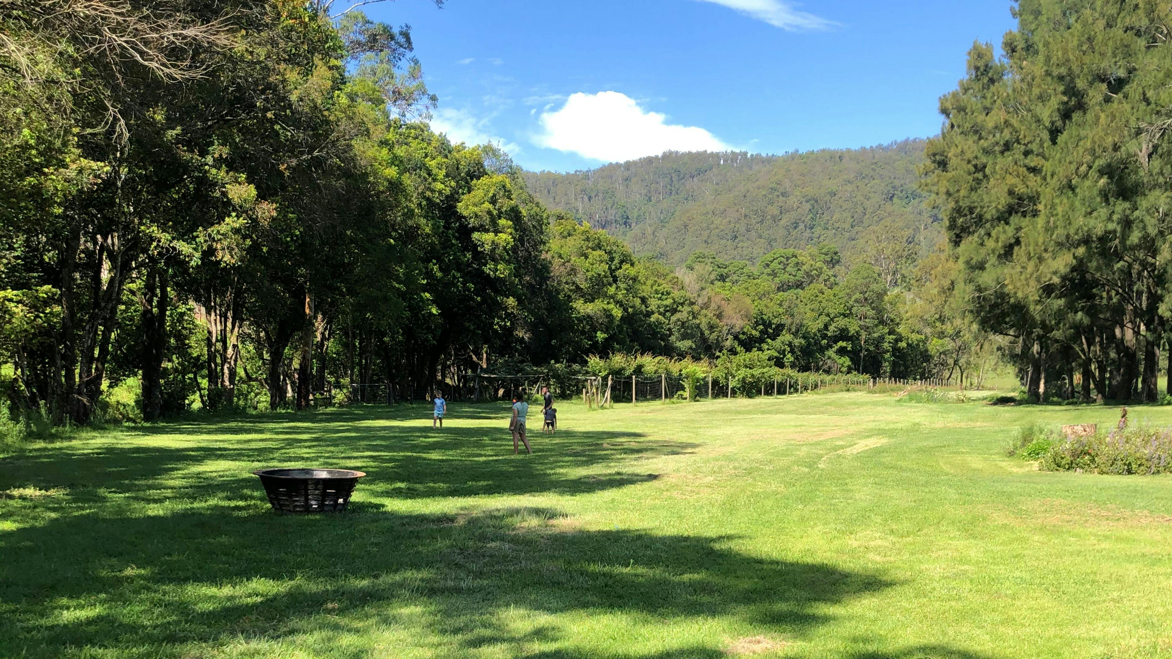 Critterland - Cabin & Camping