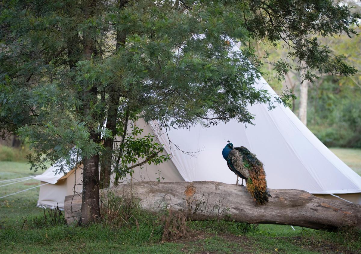 Beautiful location surrounded by wildlife